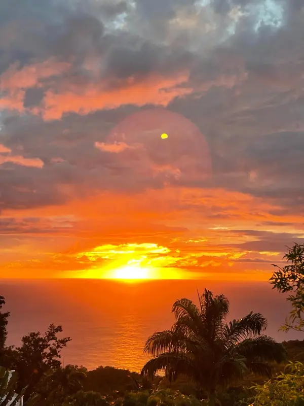 Coucher de soleil flamboyant sur l'océan avec végétation tropicale au premier plan.