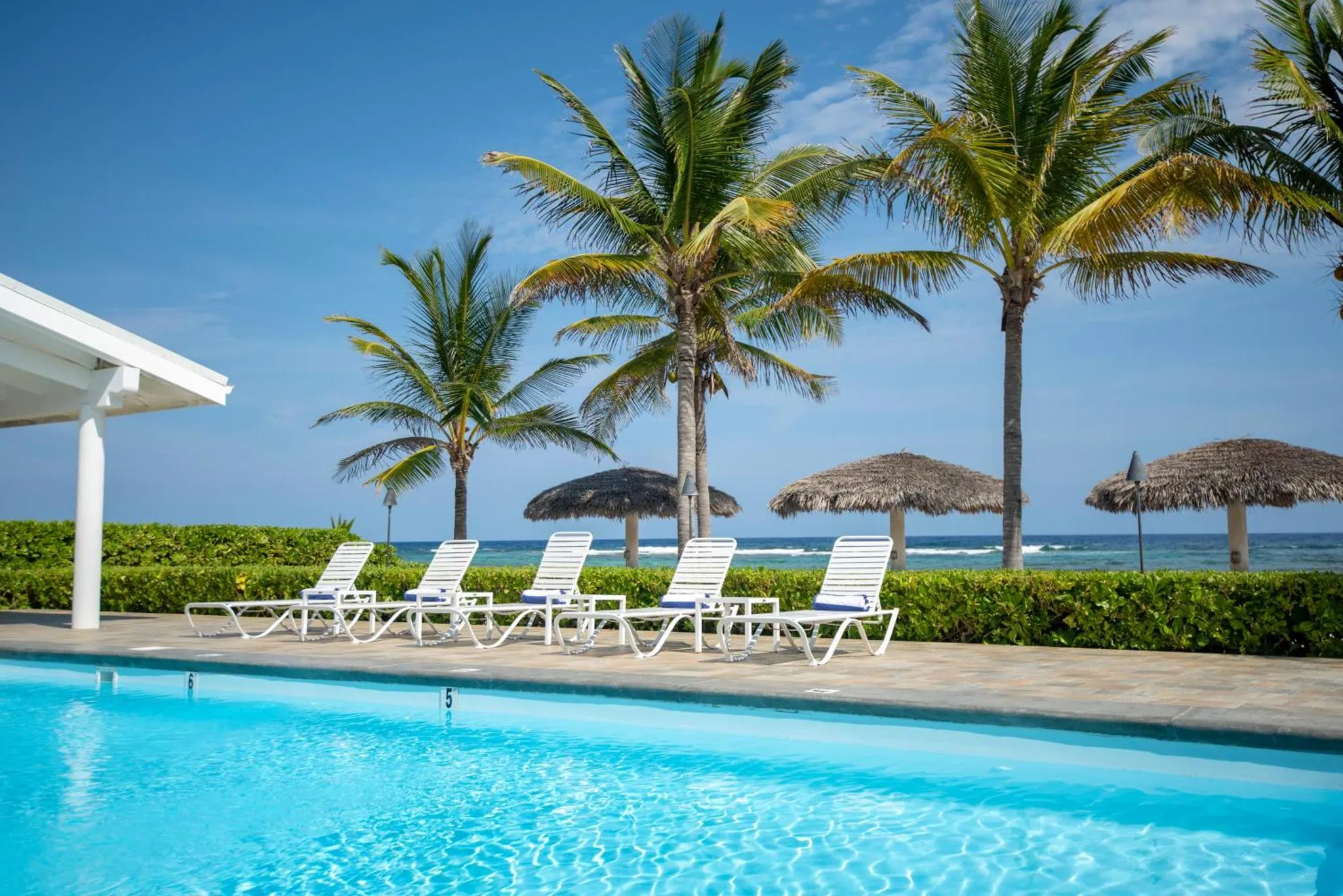 Transats blancs alignés au bord d'une piscine turquoise, avec des palmiers et la mer en arrière-plan.