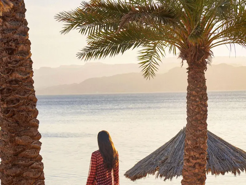 Une personne observe la mer depuis une plage de sable fin, encadrée par des palmiers.