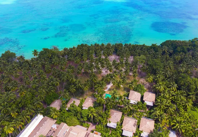 Vue aérienne d'une plage bordée de cocotiers et de bungalows aux toits de chaume.