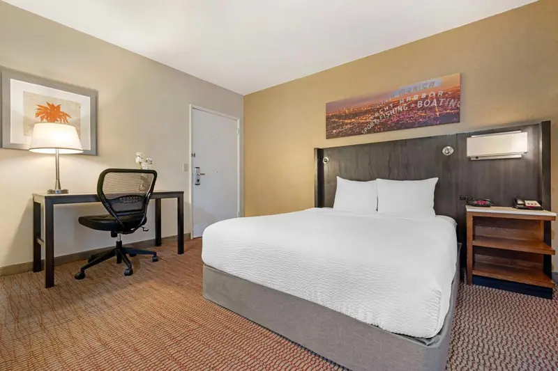 Une chambre d'hôtel avec un lit double et un bureau.