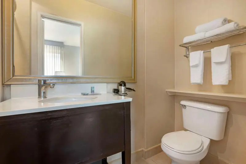 Une salle de bain avec lavabo, miroir et toilettes.