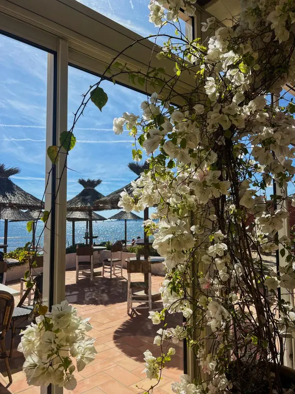 Terrasse fleurie donnant sur une plage ensoleillée.