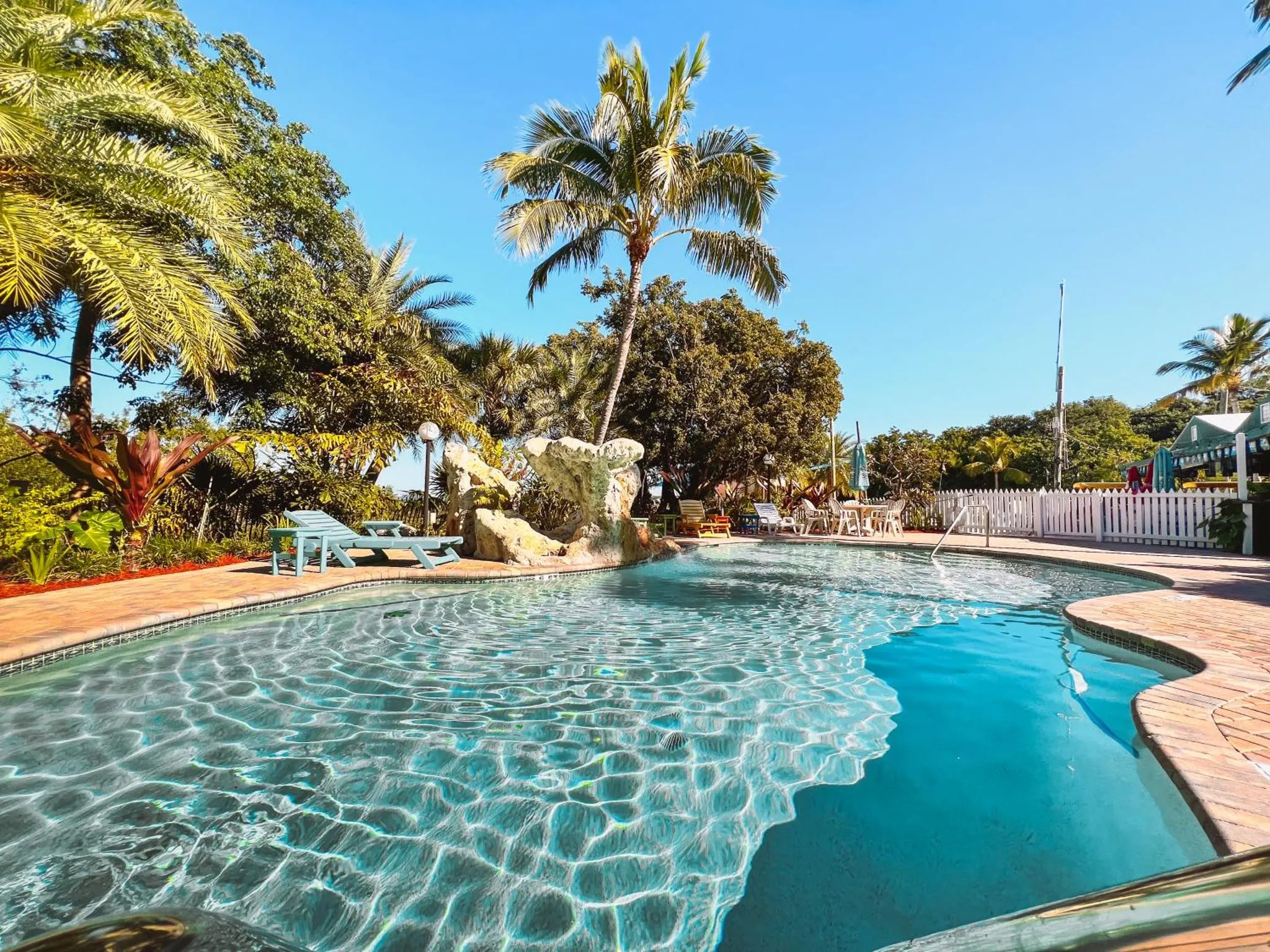 Une piscine bleue bordée d'une terrasse ensoleillée, entourée de végétation tropicale.
