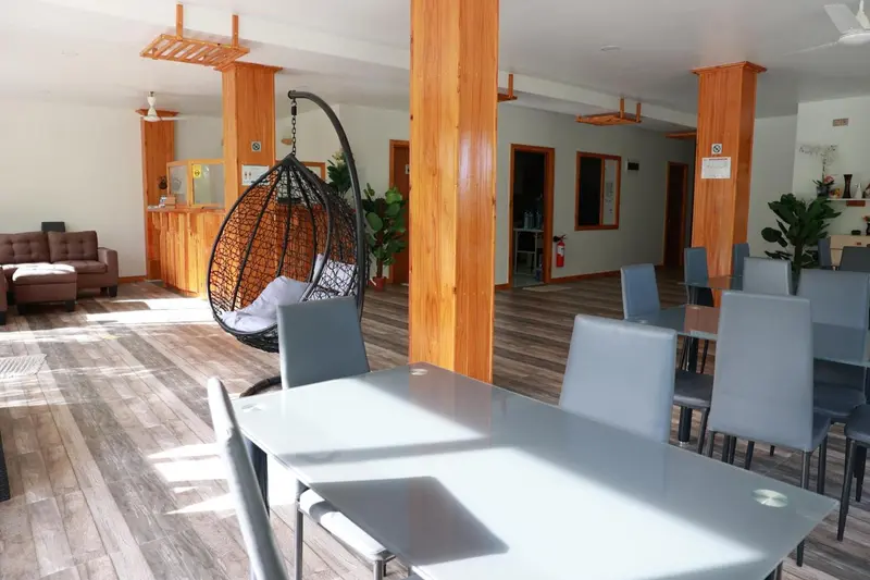 Espace lumineux avec mobilier contemporain et plantes vertes.
