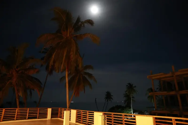 Ciel nocturne illuminé par la pleine lune au-dessus de palmiers et d'une terrasse.