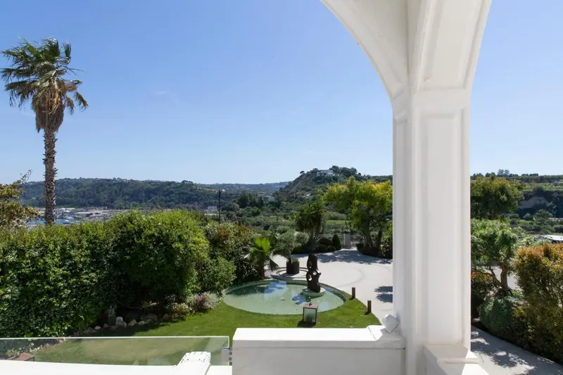 Vue sur un paysage verdoyant avec une piscine et des palmiers.