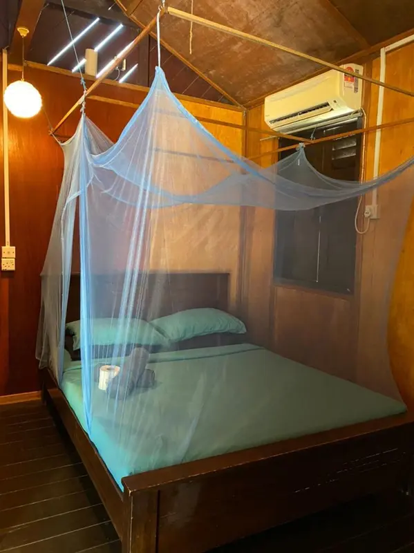 Une chambre avec un lit recouvert d'une moustiquaire.