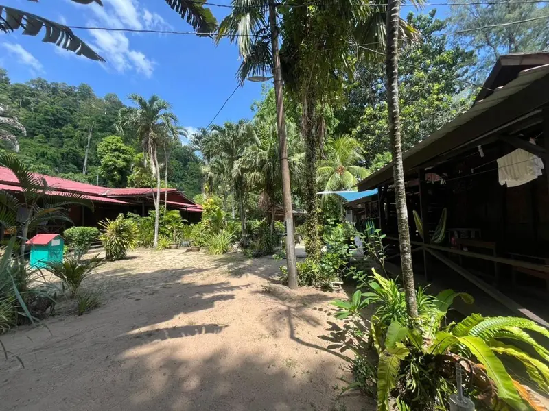 Cour intérieure d'un bâtiment avec végétation tropicale et toits en tôle.