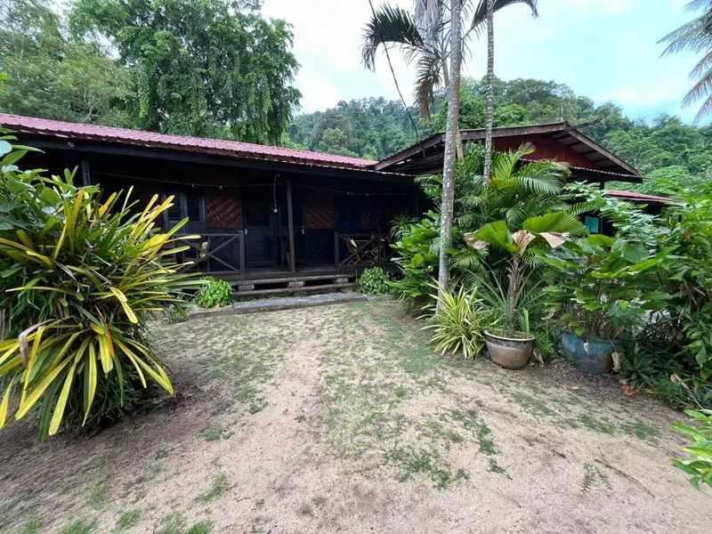 Bâtiment en bois sombre avec végétation tropicale luxuriante devant.