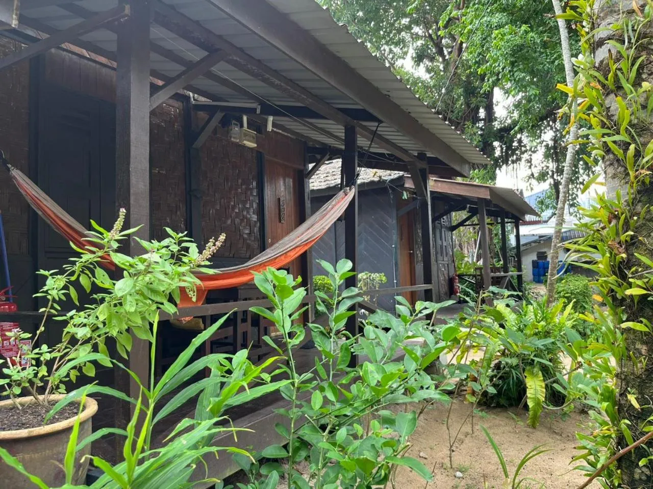 Un bungalow en bois avec un hamac sur une terrasse ombragée par la végétation.
