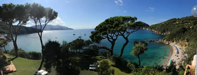 Vue panoramique sur une crique bordée de pins et de plages.