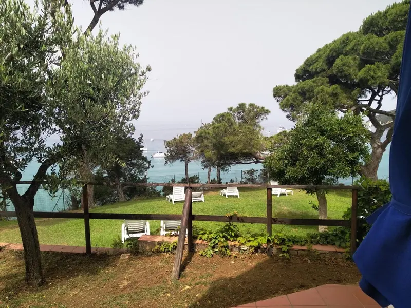 Vue sur un jardin verdoyant et la mer au loin.