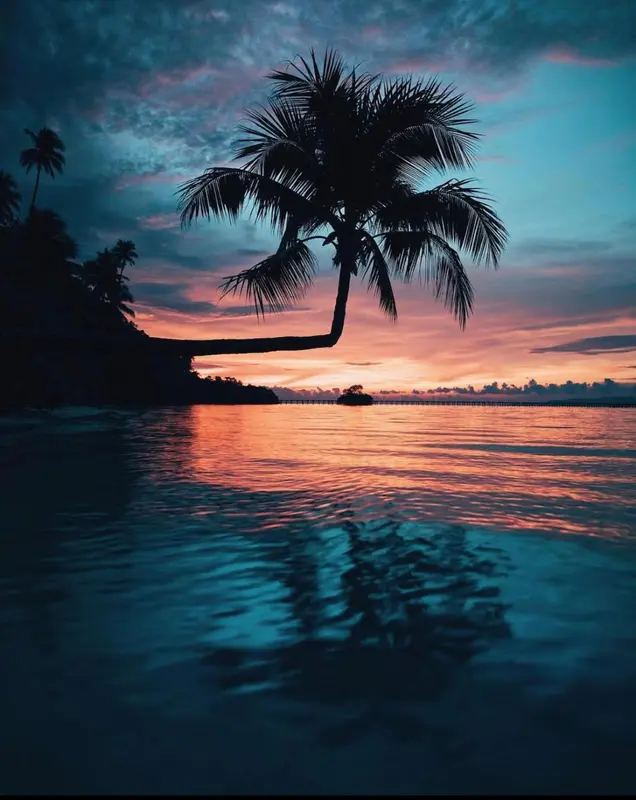 Coucher de soleil sur une plage tropicale avec des palmiers.