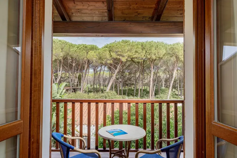 Vue sur une pinède depuis une terrasse avec table et chaises.