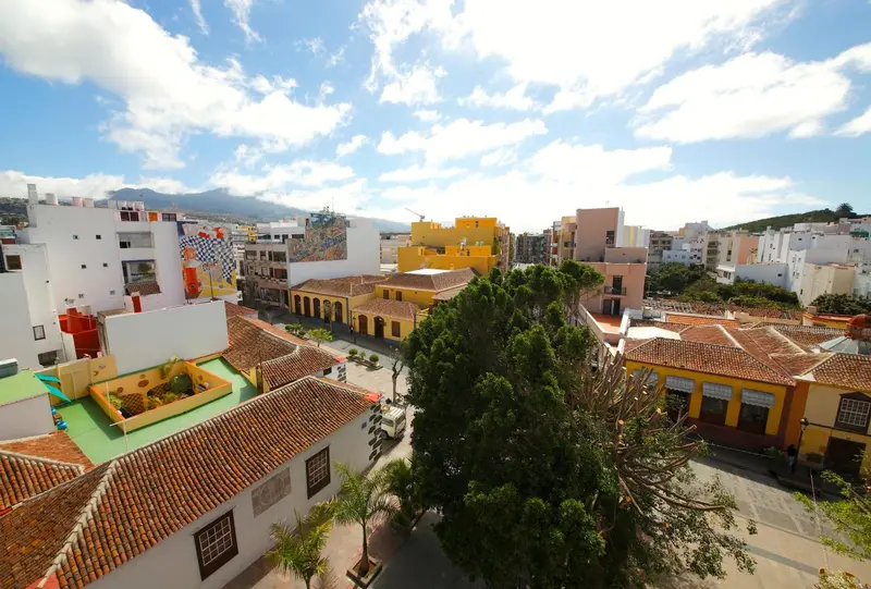 Vue aérienne d'une ville côtière avec des bâtiments colorés et une végétation luxuriante.