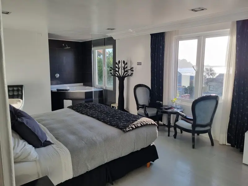 Une chambre moderne avec un grand lit et une baignoire à remous.