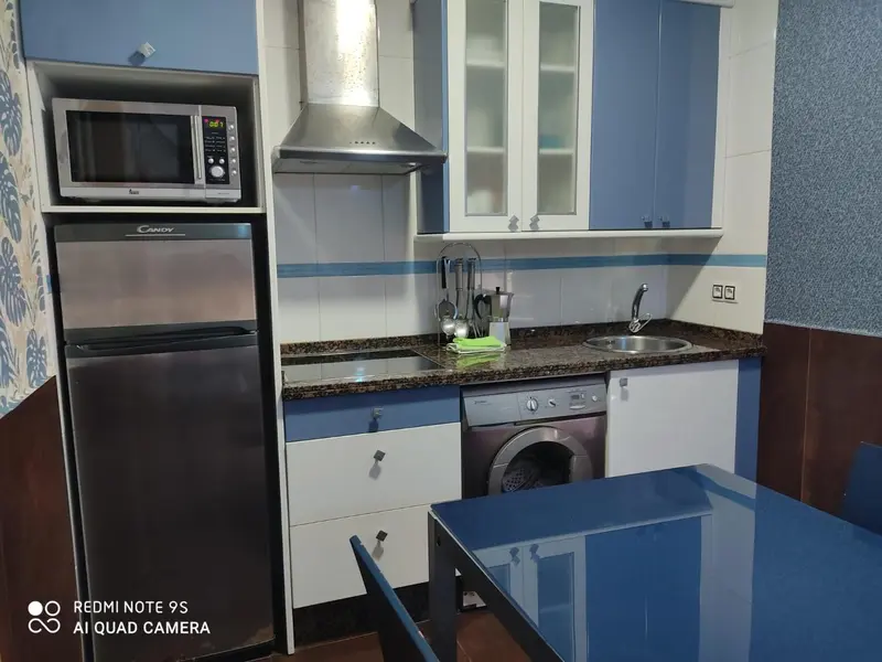 Une cuisine équipée avec un réfrigérateur, un four micro-ondes et un évier.
