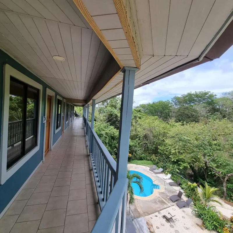 Vue d'un couloir extérieur avec des fenêtres donnant sur une végétation luxuriante et une piscine.