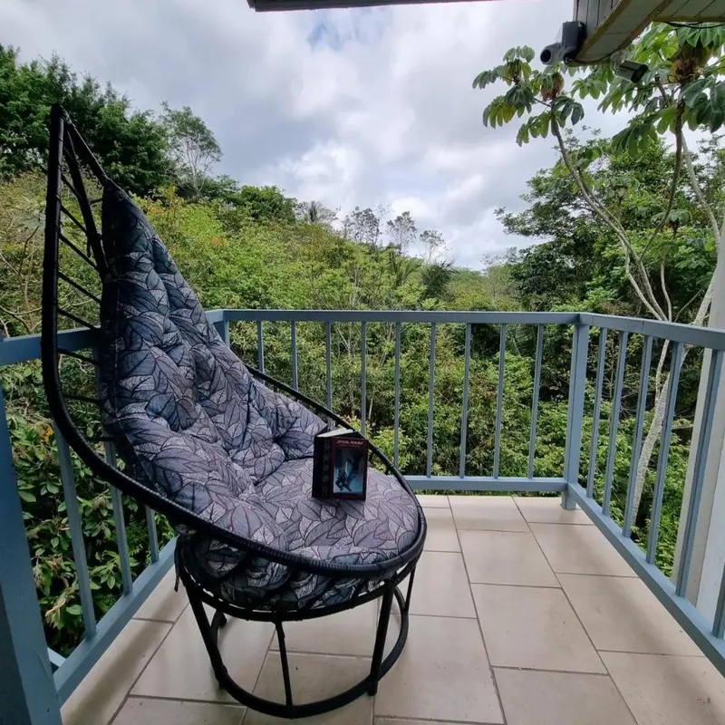 Un fauteuil suspendu se trouve sur une terrasse avec vue sur la végétation.