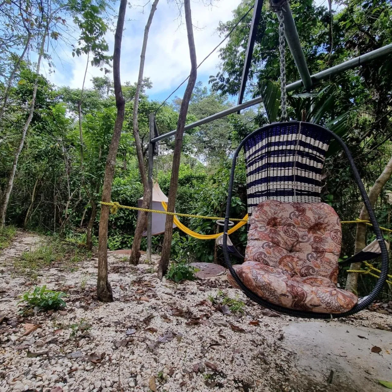 Un hamac suspendu dans un jardin tropical.