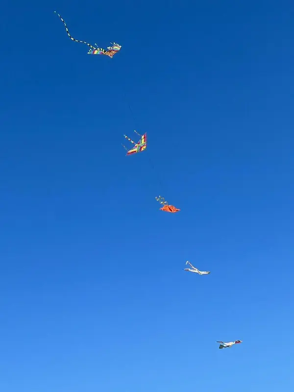 Plusieurs cerfs-volants colorés s'élèvent dans un ciel bleu dégagé.