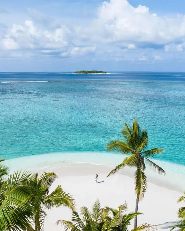 Plage de sable blanc bordée de palmiers et vue sur une île au loin.