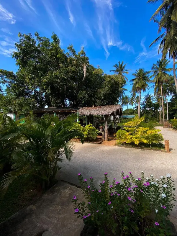 Jardin tropical avec végétation luxuriante et abri de chaume.