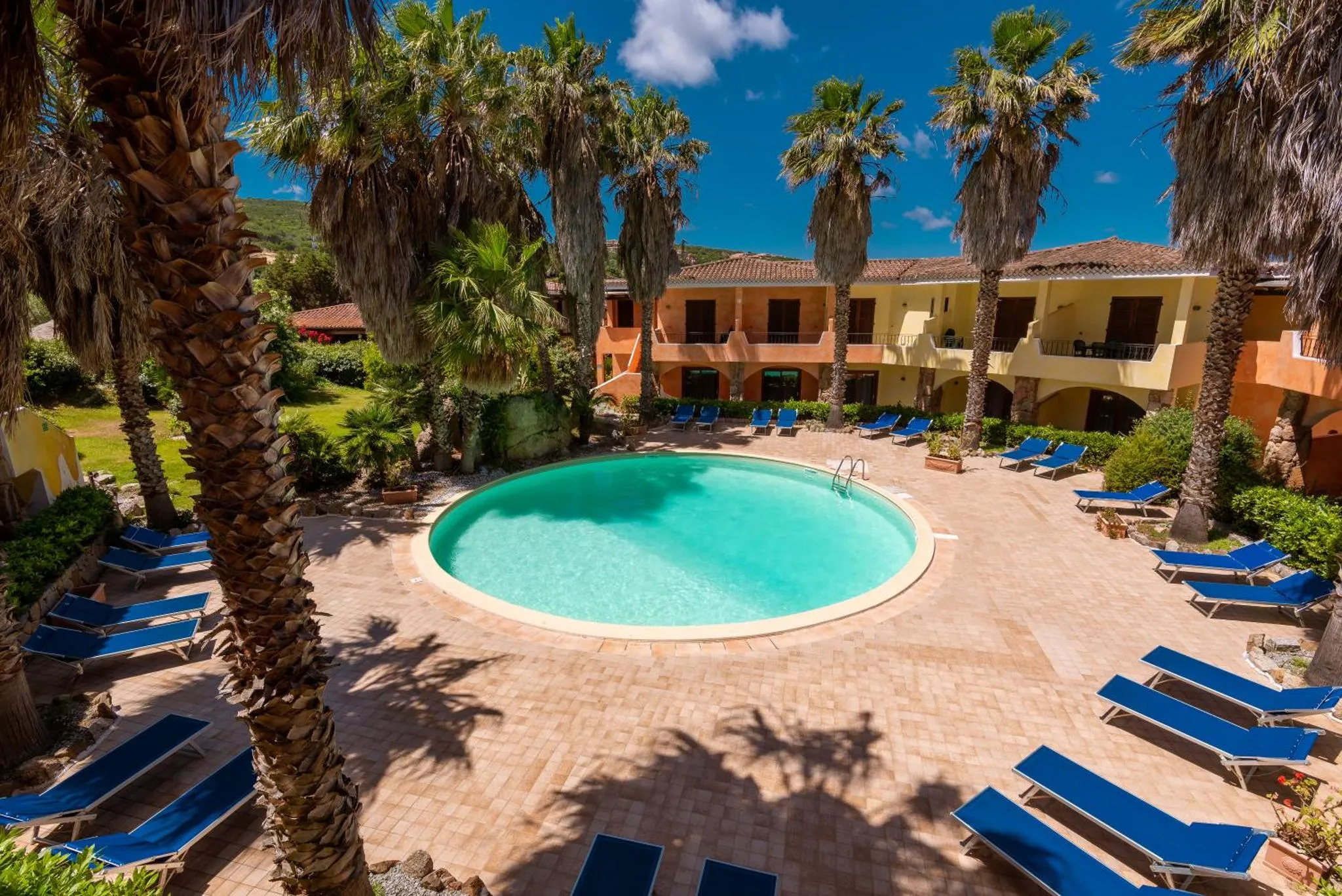 Une piscine rectangulaire entourée de transats bleus et de palmiers.