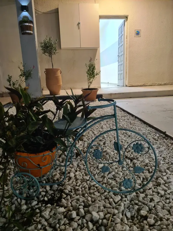 Une bicyclette décorative orne un espace extérieur aménagé avec des plantes et du gravier.