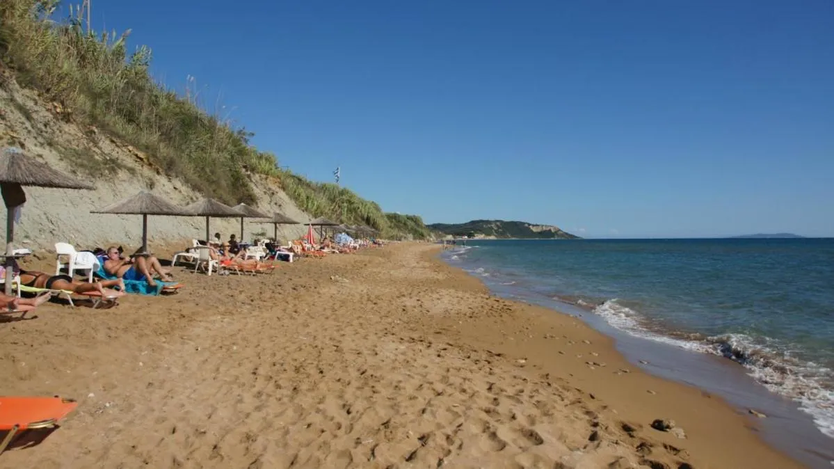 Transats et parasols sur une plage de sable fin bordée par une dune.