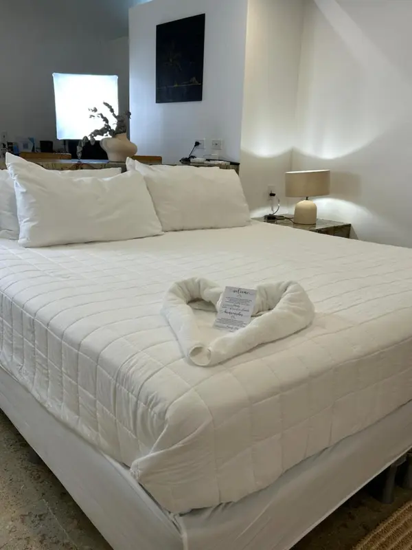 Une chambre lumineuse avec un grand lit recouvert d'une courtepointe blanche.