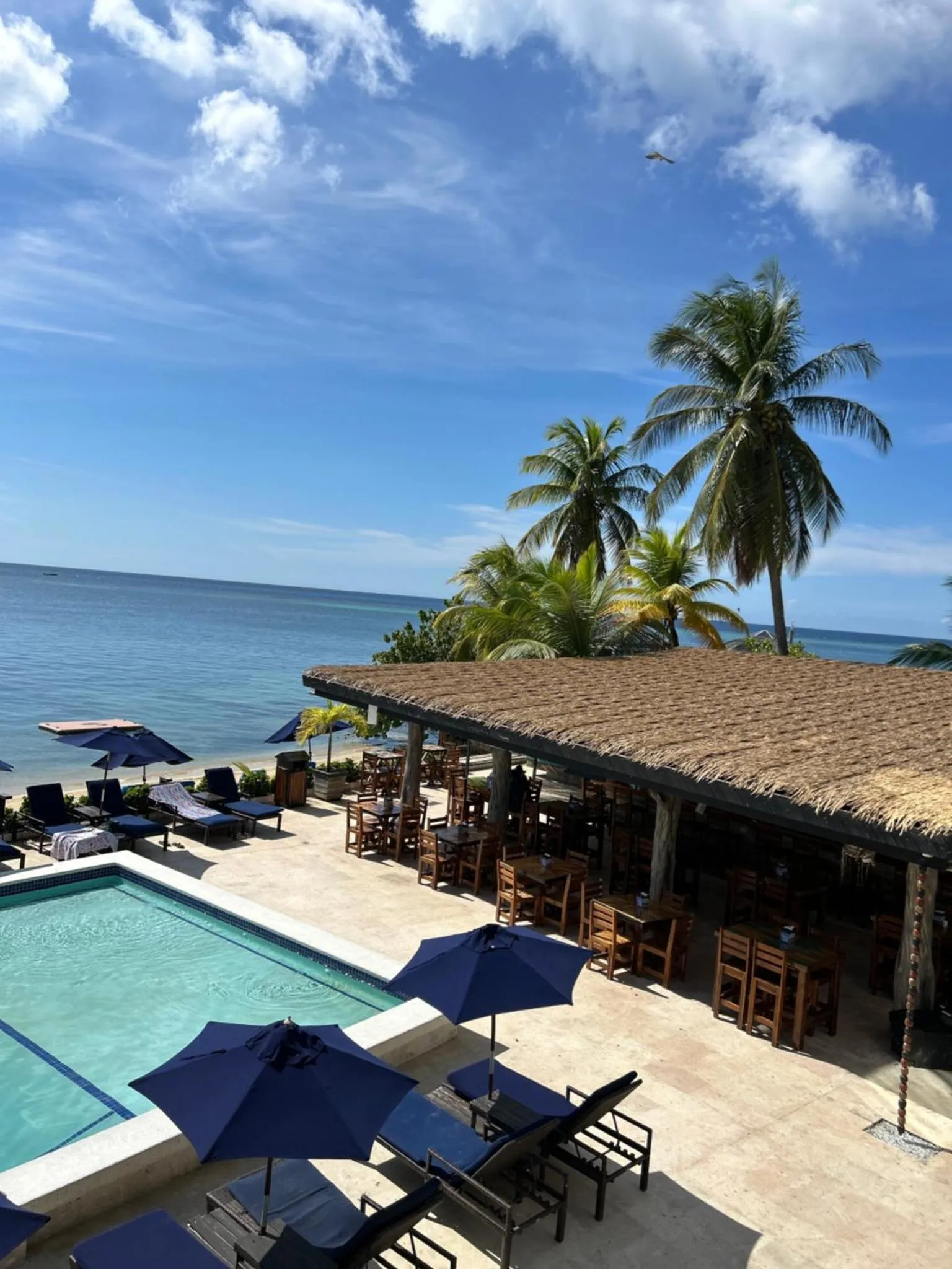 Terrasse ombragée avec transats et piscine face à la mer.