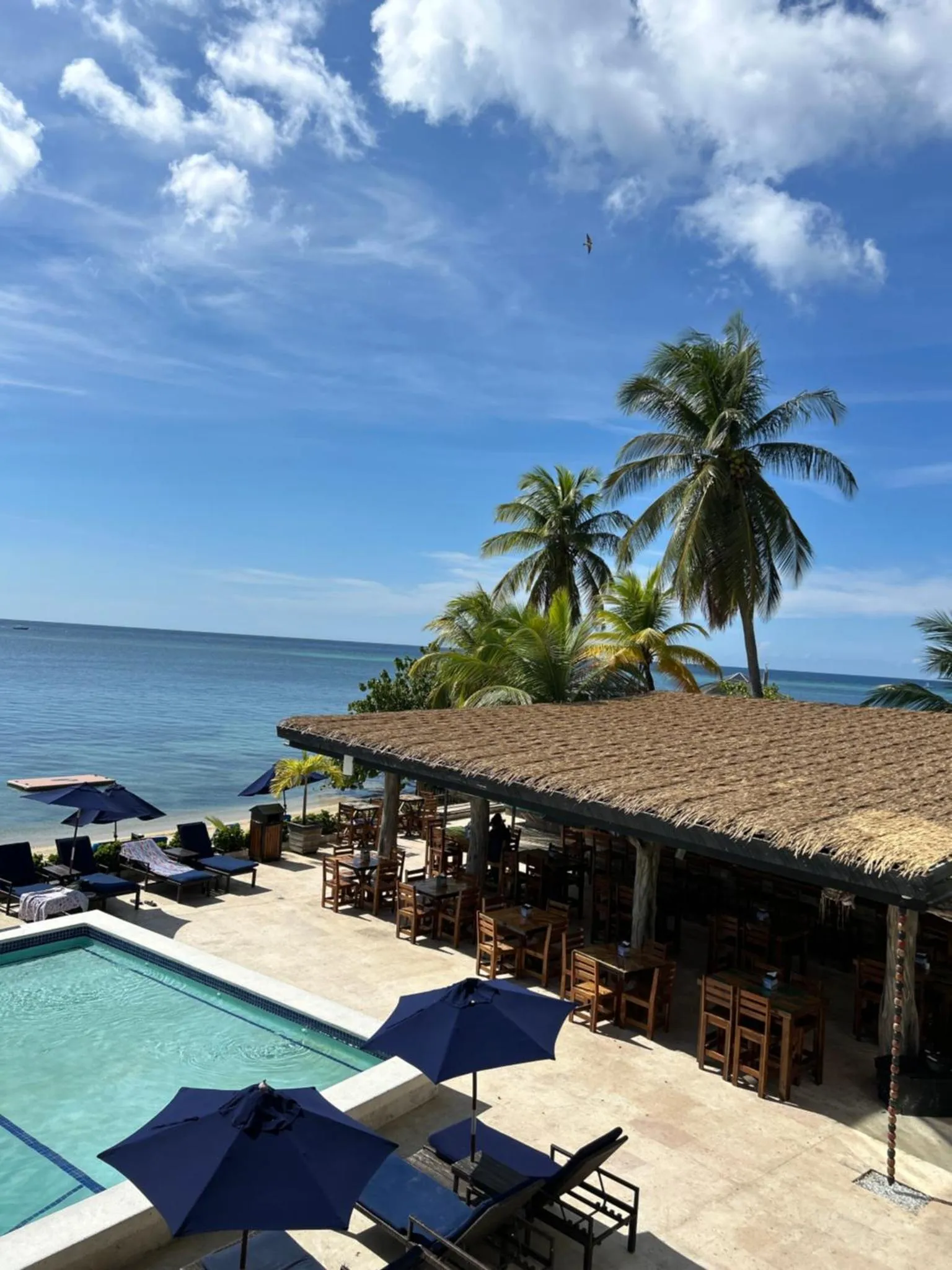 Terrasse ombragée avec tables et chaises, piscine et vue sur la mer.