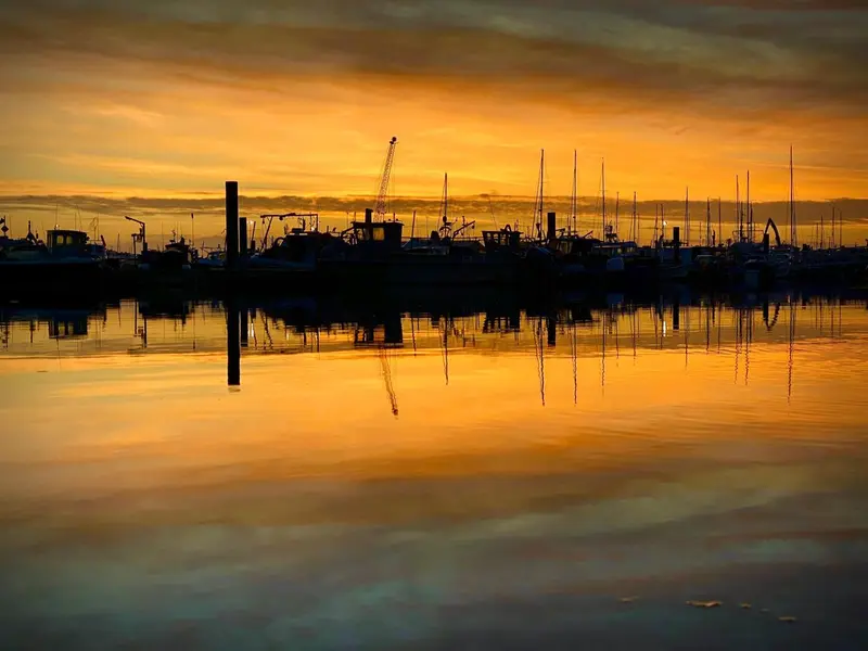 Silhouette de bateaux amarrés dans un port au coucher du soleil.