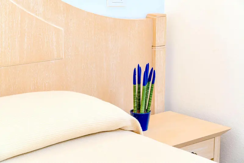 Un lit avec une table de chevet et une plante en pot.
