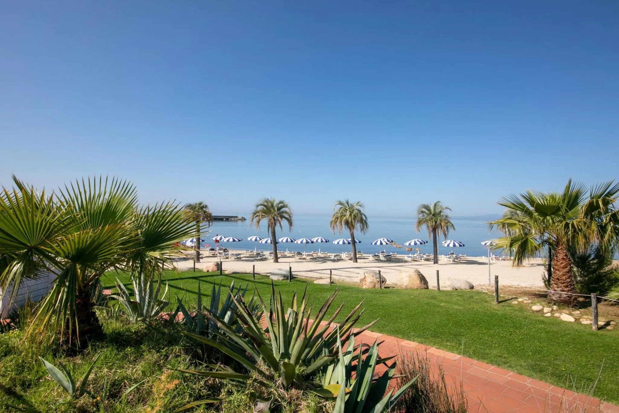 Une plage de sable fin bordée de palmiers et de transats sous un ciel bleu.