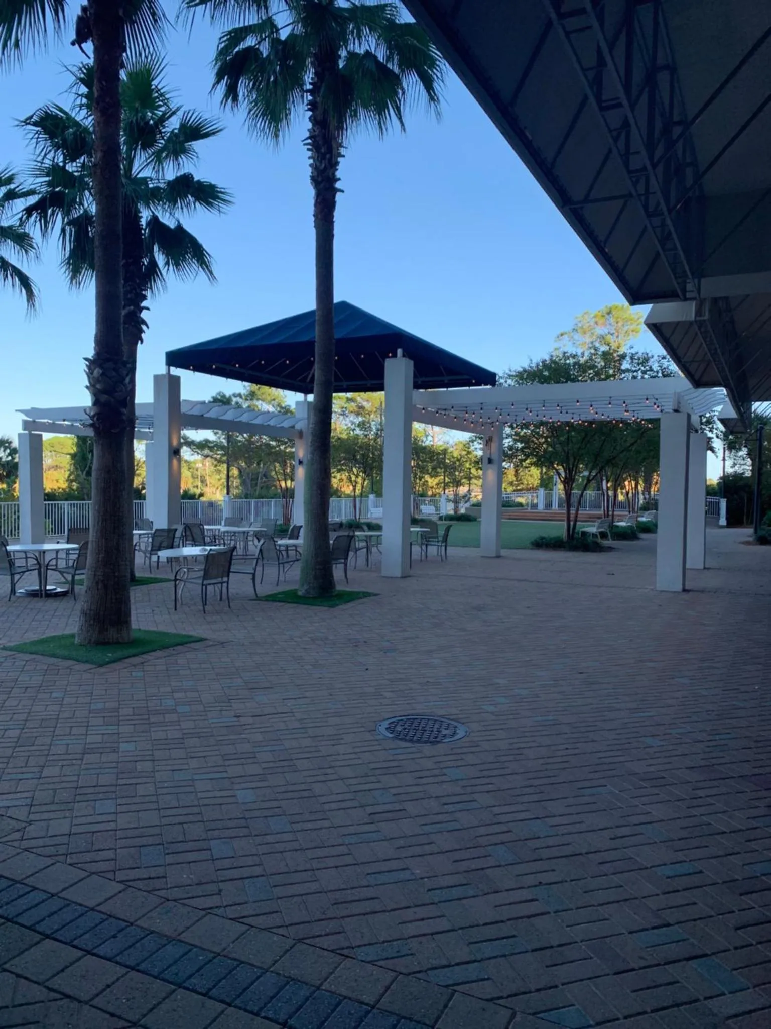 Une cour pavée ombragée par une pergola et des palmiers.