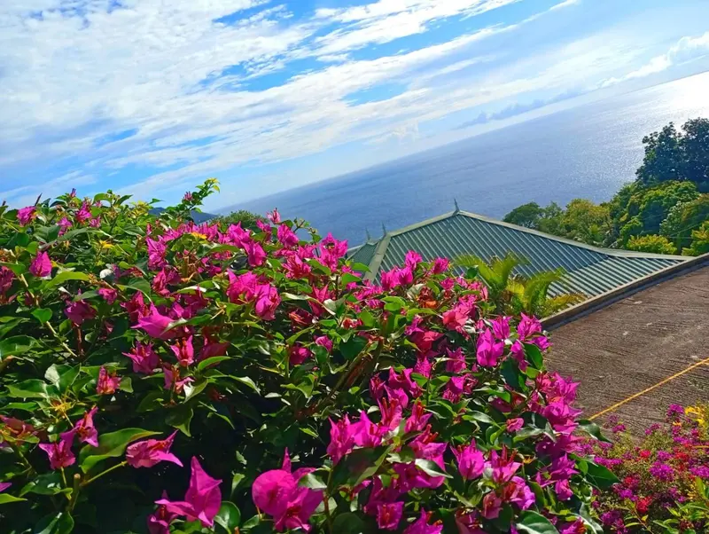Vue panoramique sur la mer depuis un jardin fleuri.