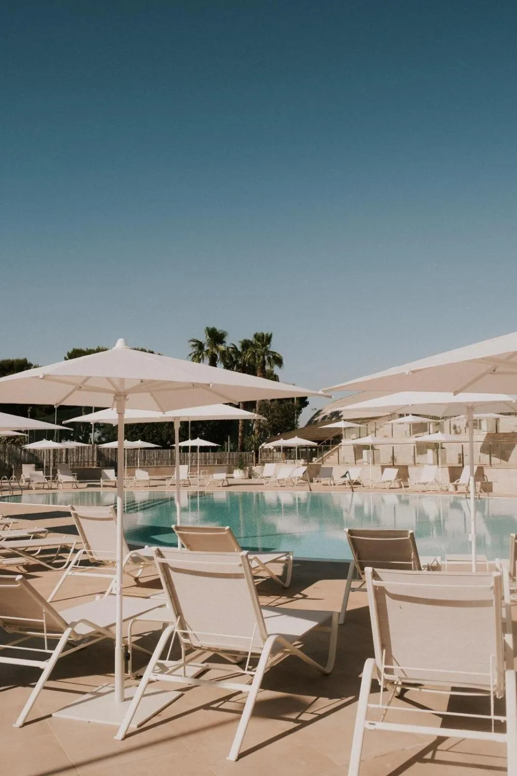 Transats blancs disposés autour d'une piscine ensoleillée sous des parasols.