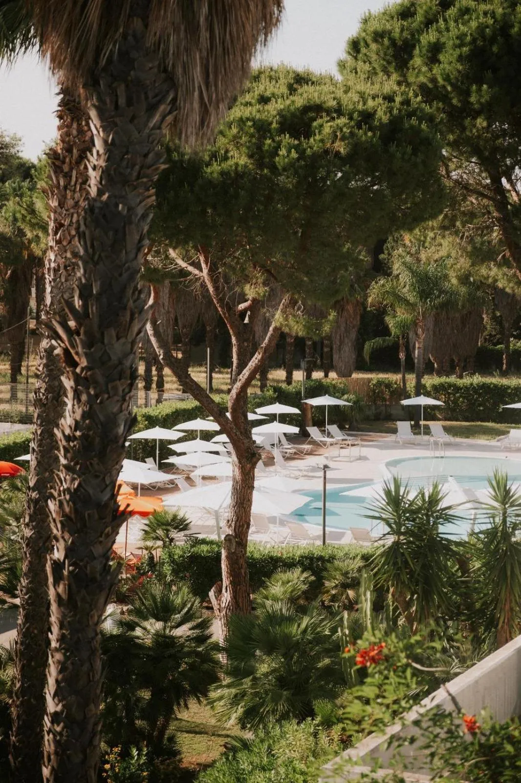 Transats blancs disposés autour d'une piscine dans un jardin tropical.