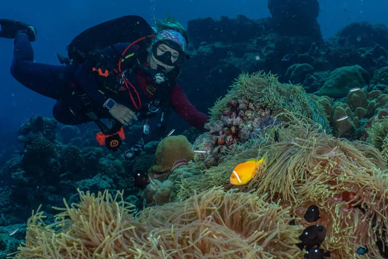Un plongeur explore un récif corallien coloré avec des poissons tropicaux.