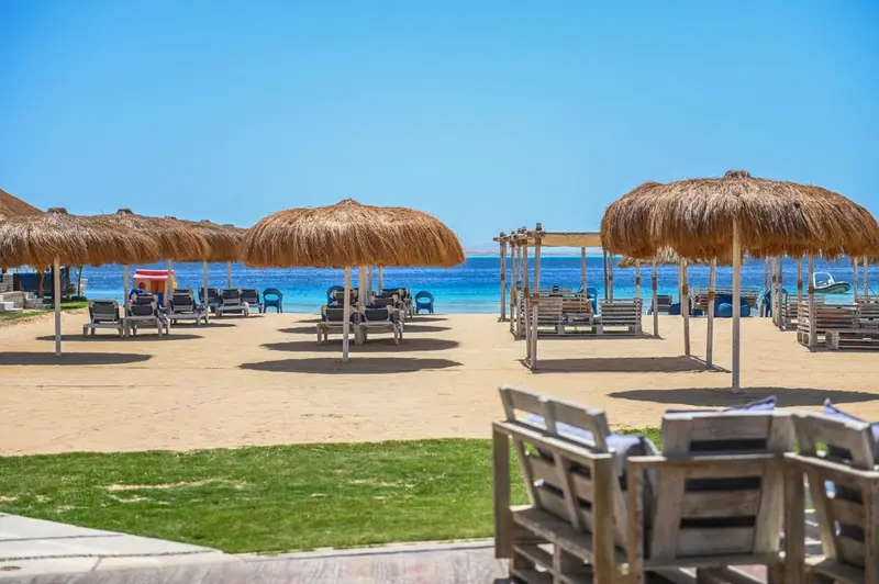 Transats et parasols de plage sous un ciel bleu dégagé.