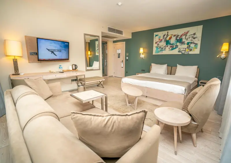 Une chambre lumineuse avec un canapé, une télévision et un lit.