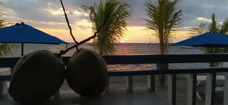 Deux noix de coco au premier plan, avec une mer calme et un coucher de soleil en arrière-plan.