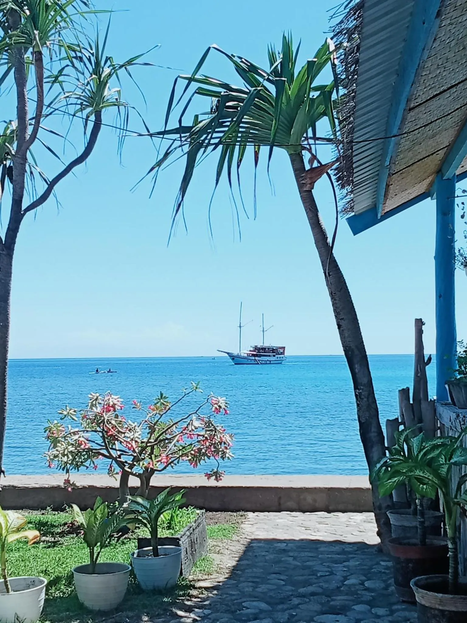 Vue sur la mer depuis un espace ombragé avec végétation.
