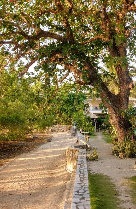 The Three P Beach Resort & Dive Center