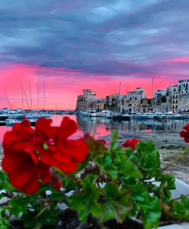 Un port de plaisance coloré au coucher du soleil, avec des bateaux amarrés et des fleurs au premier plan.