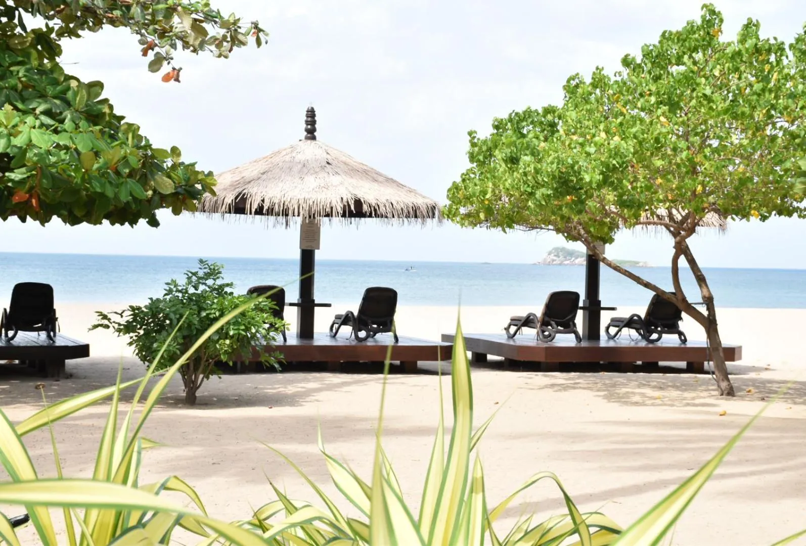 Transats et parasols sur une plage de sable fin bordée de végétation.