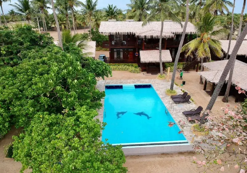 Vue aérienne d'une piscine rectangulaire turquoise bordée de chaises longues et de végétation tropicale.